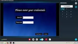Video IVR
