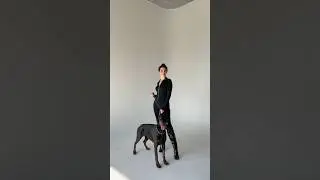 Открыта запись на фотосессию с Рокси 🖤🐈&zwj;⬛ 📸Весь май действует скидка 25% тгк: ДОБРЫЙ ДОБЕРМАН 🐾