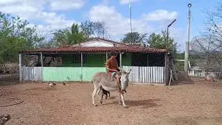 Meu neto Heitor montando pela primeira vez em filo