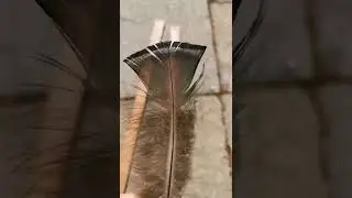 Handmade Harry Potter Wand progress