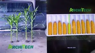 Preview of Top Crop's Corey Atley on AgXplore's ArchiTech 