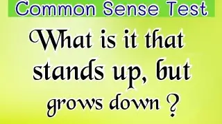 Basic Common Sense Questions That Everyone Gets Wrong || Common Sense Test Quiz