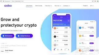 Cobo Wallet Обзор проекта