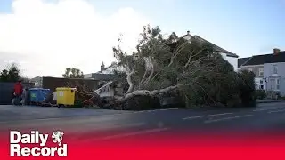 Man dies in Storm Goretti as caravan crushed by tree in 99mph wind
