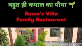 बहुत ही कमाल का पौधा || Rama's Villa & Family Restaurant || Aayodhya || Desi Safar 