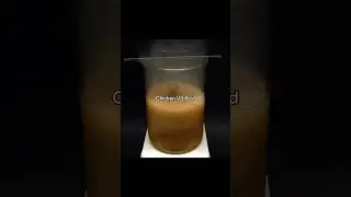 chicken 🍗 vs Acid 🧪 🤯😨 #shortfeed #experiment #sciencefacts #respect #viralshorts