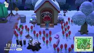 Animal crossing February 2 ￼