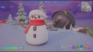 SNOW WIN