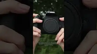 Which One Should You Buy? Canon 6D vs Canon 77D