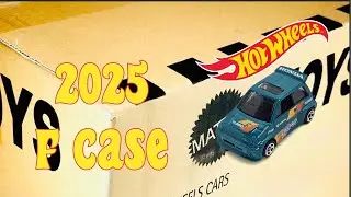 2025 HotWheels F Case Report!