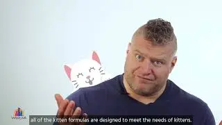 Weruva Kitten: Nourishing Your Feline Friend for a Lifetime of Healthy Happiness