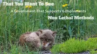 Support non-lethal Methods, Coexist!