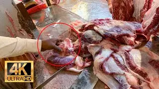 Most Amazing Cow Meat Cutting Skills in Bazar {4K} {60fps} AMSR || Meat Cutting Satisfying
