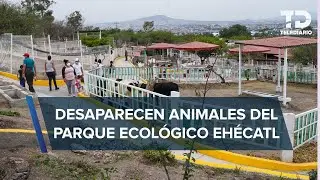 Desaparecen 10 animales en Parque Ecológico Ehécatl, Ecatepec; acusan que fueron vendidos