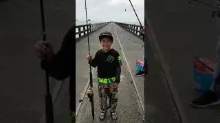 Tolaga bay wharf fishing 4 piper gurnard snapper trevally and kahawai