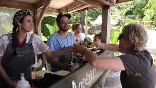 Matakana Coast Tourism highlights