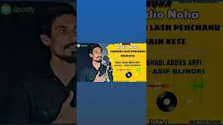 Tumhari Lash Pehchanu Main Kese || Adnan Abbas Rizvi || Noha - 2025 || Audio Noha Mixing Adnan Abbas