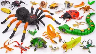 Ultimate ZURU Robo Alive Insects ASMR 🦎 Cobra Snake, Spider, Turtle, Ladybug, Worm (No Talking)