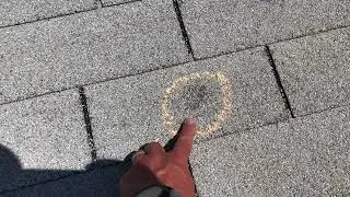Hail Damage On Asphalt Shingles