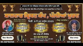 Day-4 || Pallian khurd (Sbs Nagar) Cricket Cup 2025 @balachaursportslive