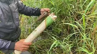 Đặc tr&uacute;m lương đụng h&agrave;ng . V&agrave; c&aacute;i kết#mybp