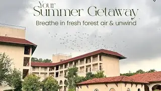 Bhanu The Fern Forest Resort & Spa Jambughoda Gujarat | best hotel and resort near Vadodara #hotel