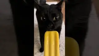 slurp