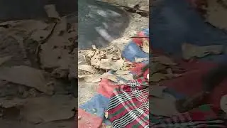 karampur vihari punjab pakistan dost k susar ki qulkhawani