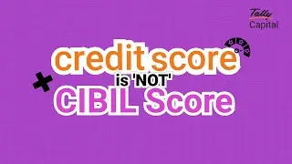 Credit Score vs CIBIL Score - Differences You Should Know Before Applying for a Loan | TallyCapital