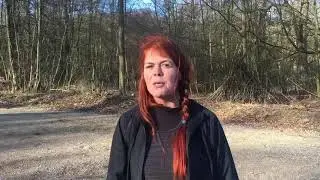 Udtalelse