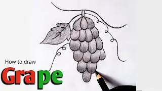 How To Draw A Grapes | Grape fruit drawing easy | #artbyrohamaryam