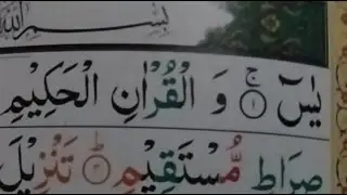 Online Quran academy Fsd is live