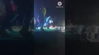 Marriage lo dog 🐕 Dance 🩰 🩰 preferences 🤣🤣