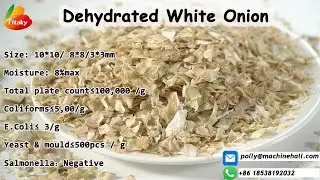High Quality Dehydrated White Onion Slices Wholesale Price China