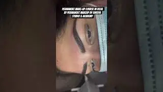 PERMANENT MAKEUP COURSE IN DELHI BY PERMANENT MAKEUP BY SHREYA STUDIO & ACADEMY #cosmeticcourses