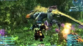 PSO2: Fang Banshee & Bantha with Guard Stance