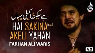 Farhan Ali Waris | Hai Sakina Akeli Yahan | Noha | 2013