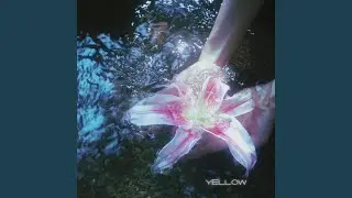Yellow (Cover)