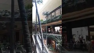 This is how the insides of the malls in Macau look 👀 #shortvideo #shortsvideo #shorts #short #macau