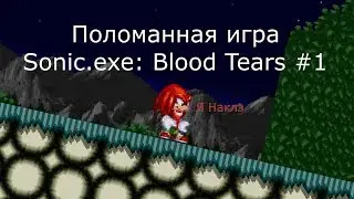 Поломанная игра - Sonic.exe: Blood Tears #1