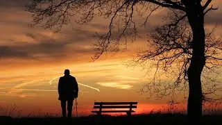 Sad Free Background Music | Relaxing Stress Free Music | Sad Background Music 2022