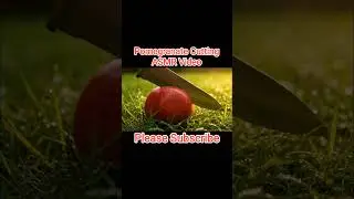 🍎 &ldquo;Ruby Burst | Deep Cutting ASMR with Pomegranate&rdquo;