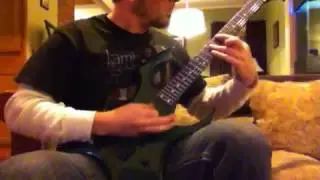 New acs guitar