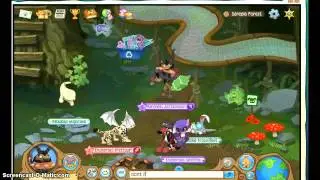animal jam fans