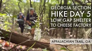Day 5 - Low Gap Shelter to Cheese Factory Camp - Appalachian Trail GA