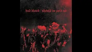Bad Blood/Should've Said No - Reputation Tour Karaoke