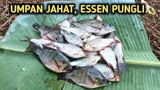 AUTO JOS JIS MANCING BADER UMPAN INI‼️mancing tawes merah sekatan Mak Ten Druju WKK jackpot Nila