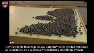 Kilobot swarm