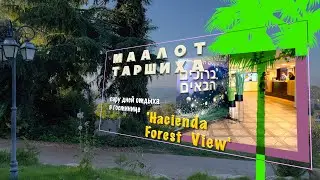 Маалот-Таршиха. Пару дней отдыха в отеле 'Hacienda Forest View'