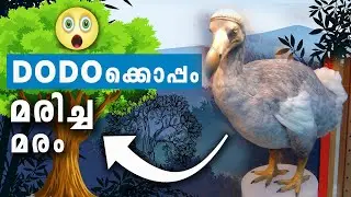 ഡോഡോ പക്ഷിയും കാൽവരിയ മരവും | Dodo and calvaria trees | #TopMostMalayalam #short #shorts